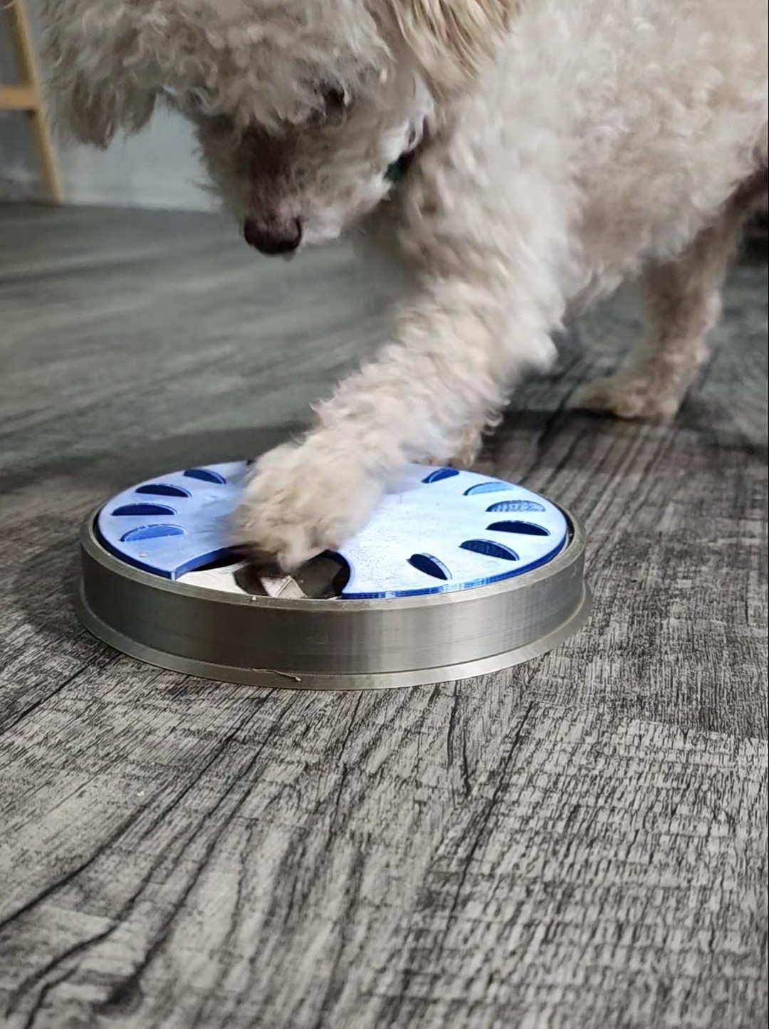 اسباب بازی پازل سگ و گربه تشویقی کد 117 - Image 4