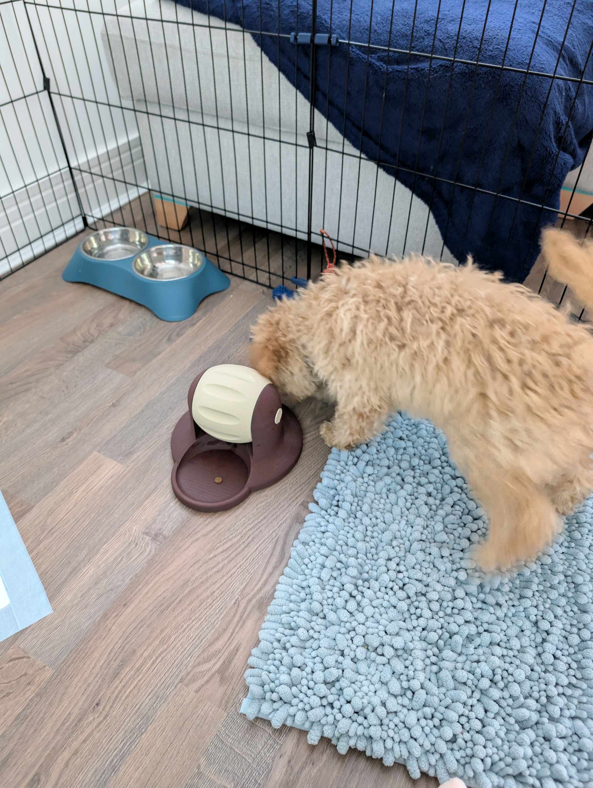 اسباب بازی تشویقی خور آرام پاش سگ و گربه کد 126 - Image 5