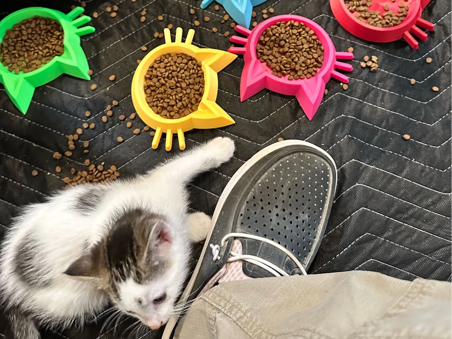 ظرف غذا گربه کد 218 - Image 3