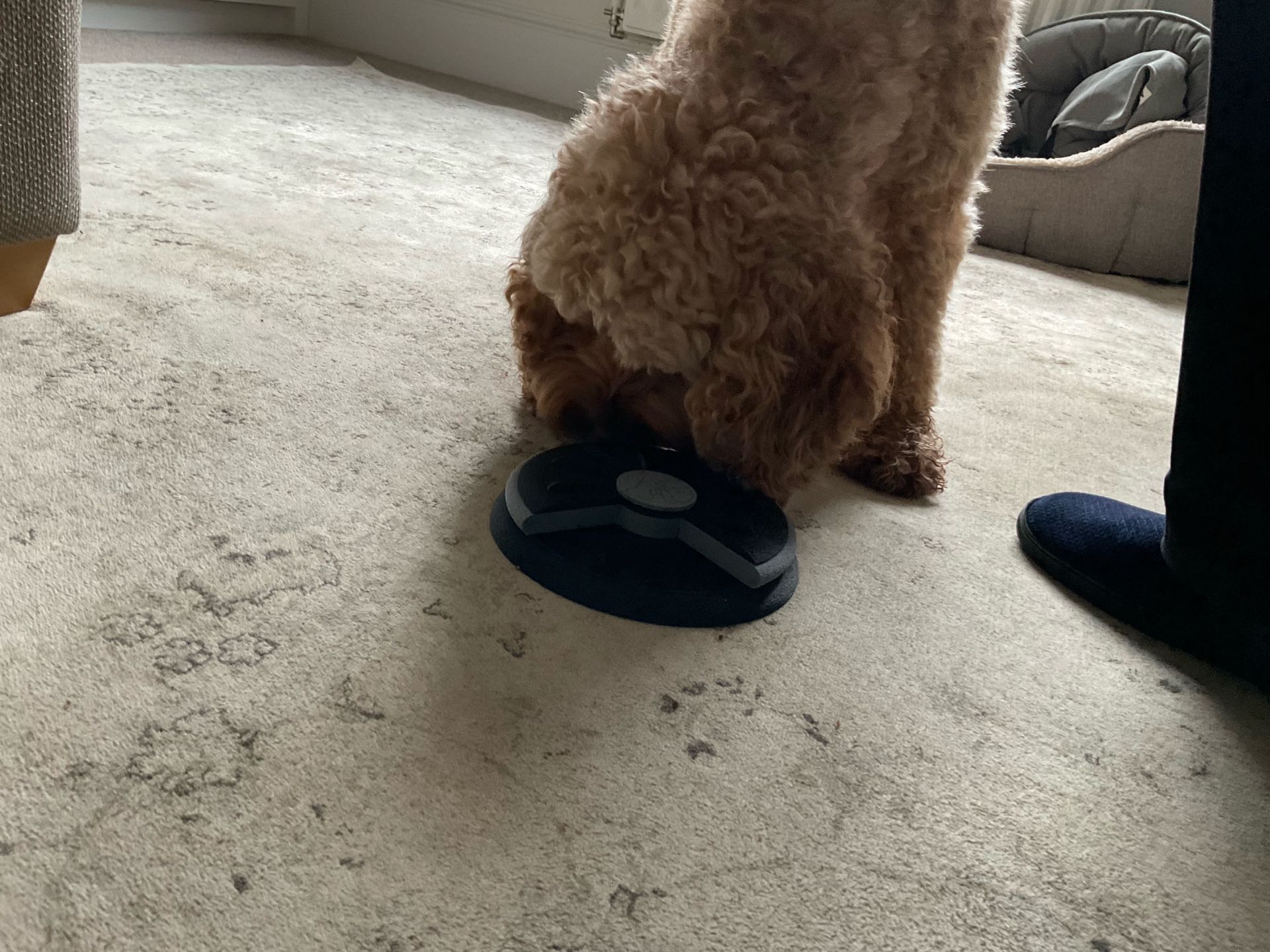 اسباب بازی فکری سگ مدل پازلی چرخشی تشویقی خور کد 250 - Image 3