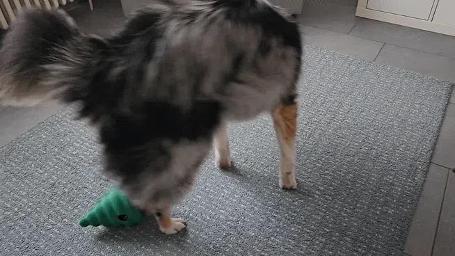 اسباب بازی تعادلی غذا و تشویقی سگ و گربه کد 295 - Image 6