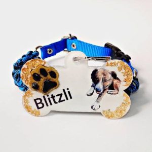 photo_2024-11-11_18-44-13