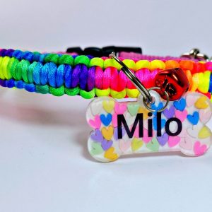 photo_2024-11-11_18-56-04